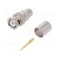 J01000A0059 Connector: BNC; plug; male; straight; 50Ω; crimped; RG213; for cable LKQFq7gjZ1CosYhKyYfU8bQjaH91hKcmmqfPvS4e2l4