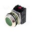 NEF30-K2XZ Switch: push-button; 30mm; Stabl.pos: 1; NO x2; green; IP56; NEF30 lNJ1EQc6jQ78prbG79QIxEHGqTuNWEZFDmdjZt5Dw7U
