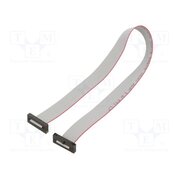 FFSD-10-D-12.00-01-N-SR Ribbon cable with IDC connectors; IDC,both sides; 304.8mm; 12" pCyQ8m3gqpXCRHzAcQMTuKV0t6NZbsSEU4llHaU2CIM