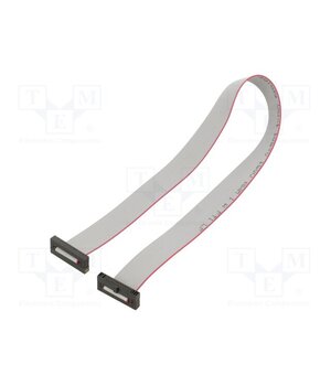 FFSD-10-D-12.00-01-N-SR Ribbon cable with IDC connectors; IDC,both sides; 304.8mm; 12" pCyQ8m3gqpXCRHzAcQMTuKV0t6NZbsSEU4llHaU2CIM