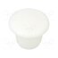 10060544 Stopper; H: 6.5mm; push-in; Flange dia: 11mm; white; 054070111303 ayw9zekeFdftM5IvGvGjRqKRnLx7_Z0IvGGl6w6auwk