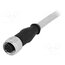 21348500882050 Connector: M12; plug; female; PIN: 8; straight; cables; 5m x9-i73QufyEoyYW-iw1MgyEGv5JEq2QRG9Dr4ziIHtM
