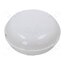 D.3175RM-BN-9W Lamp: LED lighting fixture; PANDA LED; polycarbonate; 4000K; IP65 dfCcp9IkJeKqvMy7oT4QspG7ZHr00a8m2Vb76MIK4_4
