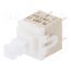 PVA1 OA H1 3.5N V2 Switch: keypad; Pos: 2; DPST; 0.1A/32VDC; white; none; THT; 3.5N; PVA MJEyf0s0jNGj6PIE2G32GH_0PsxF19G4R3A1MUH6BvQ