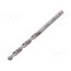 0062000400100 Drill bit; for wood; Ø: 4mm; L: 75mm; high speed steel; blister WUD9WYXADclCfym69kG0Dh5cWQfzJ-0ZG-2_nJQZZZ8
