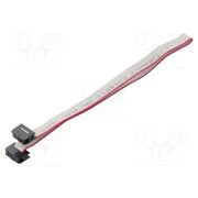 DS1052-01-082B2NA203001 Ribbon cable with IDC connectors; Tape ph: 1mm; Contacts ph: 2mm v6LMm7CYMam7K0d5OVEV7375gFf3IhbKrJrJe78ahrY