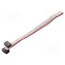 DS1052-01-082B2NA203001 Ribbon cable with IDC connectors; Tape ph: 1mm; Contacts ph: 2mm v6LMm7CYMam7K0d5OVEV7375gFf3IhbKrJrJe78ahrY