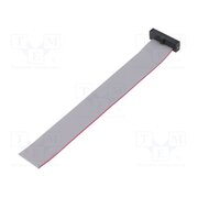 FFSD-10-S-04.00-01-N Ribbon cable with IDC connectors; IDC,wires; Tape ph: 0.64mm zlC3pOe64trt81KKmAasxLlNutokQLpUXlabcJAIQF4