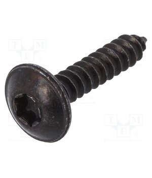 59221 Screw; 100pcs; 19mm; steel; black; Thread: 3,9 I_8WTsr3CtsMyuKZNI9y38wEcH5FTO13ZCJcpXjf7aU