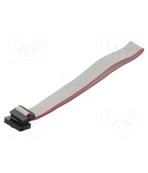 DS1052-01-162B2MA203001 Ribbon cable with IDC connectors; Tape ph: 1mm; Contacts ph: 2mm Mk8Xqymlcd4zAv9nehzSEgvJZqFnJY6Z80_A9eKqlYs