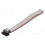 DS1052-01-162B2MA203001 Ribbon cable with IDC connectors; Tape ph: 1mm; Contacts ph: 2mm Mk8Xqymlcd4zAv9nehzSEgvJZqFnJY6Z80_A9eKqlYs