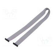 FFSD-14-D-20.00-01-N Ribbon cable with IDC connectors; IDC,both sides; 508mm; 20" Wf74jcWryraBH3RmTKjMKxRYpmWdXLK1kpSZ_o3mVz8