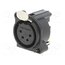 NC4FAH Connector: XLR; socket; female; PIN: 4; angled 90°; THT; black; 6A v4BwhXbSfB-IccV37NsmKmpDVvP0p5MS_Hx8EHCkgU0