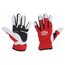 783929800042 Protective gloves; Size: S; leather,spandex 7STjxf-M029l2Gt5rVjNdQTC4K0DnUgh7bhLXtqu85k