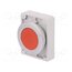 M30C-FDR-R Switch: push-button; 30mm; Stabl.pos: 2; red; none; IP67; RMQ-Titan I4tgcvAW5srJvSshff3IZZcx-02b-X9vxa9avkylqiU