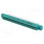 305-044-500-202 Connector: card edge; PIN: 44; 305; soldering; 3.96mm Y8L0Pnr0BgrELCw2Iwr7fn_SeRnVoqCpML8FK8Vlk3k