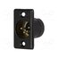 711-0400 Connector: XLR; socket; male; 10A; 50V; PIN: 4; straight; soldering 2RflUwrNZOoKSosl5Oj5retxh7OHbpXdqg1IEJeUUcU