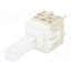 PVA1 OA H2 1.2N V2 Switch: keypad; Pos: 2; DPST; 0.1A/32VDC; white; none; THT; 2.1N; PVA 8gB9k1j2mpsm9dL7Z_6xyQmQekN69nUH8doJIIu-W8c