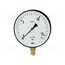 12231398 Manometer; 0÷25bar; Class: 1.6; 100mm; Temp: -25÷60°C; IP50; steel qIRhHlhPfJNUPBJqBTU4fYmPlE6Q4Sl917cNHqsVio0