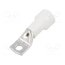 BM05143 Tip: ring tube; M10; Ø: 10.5mm; 95mm2; crimped; for cable; insulated gjL9m30K6ljsjYhDtRhWgAVfWsGQGB8QQgtHzMg4CaE