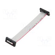 FFSD-10-D-04.00-01-N-SR Ribbon cable with IDC connectors; IDC,both sides; 101.6mm; 4" KXhK81fk84Z9z5iHINw07ePgCCGkzHdkVslvNMupNcA