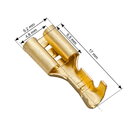 NEIZOLĒTS TERMINĀLS Sieviešu 4,8x0,8 mm

 CAD05.jpg