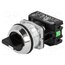 NEF30-TPCSXY Switch: rotary; 30mm; Stabl.pos: 3; NC + NO; black; IP56; NEF30 Z-KSz6FS7VQU2BVl3kcgFFy-uVkWMHYG1j42DcTYjHo