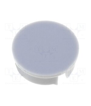 4129.064 Cap; grey; Mounting: push-in; plastic lINA3QFBiQ7gd4Eq0bmklOZjCIigTtK0ameE95aZ6EY