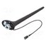 ANT.64 Antenna; car top,automotive; 0.2m; AM,FM; with amplifier; 0.275m 9jNOabENK_nroLE3jN2SOvhgWjy6jjAMZbeuspCyt3o