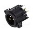 AC3MAV2-AU-PRE Connector: XLR; socket; male; 6A; 133V; PIN: 3; straight; THT 4TbxXK3E1XMd3HB1iRkzMUZYMSehGHn8msyu4RtcFhk
