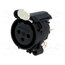 NC3FAV1 Connector: XLR; socket; female; PIN: 3; straight; with push button _xgoqkoVdN5MBgJL1MxmyPWjsFsbIQV1vqcyAVC2HH4