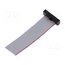 FFSD-10-S-02.00-01-N Ribbon cable with IDC connectors; IDC,wires; Tape ph: 0.64mm UAC_VhAul9IwK_QtLRVmGGs9g1RqAWa1HUVzKoMB07I