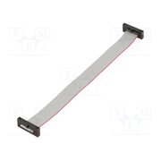 FFSD-10-D-06.00-01-N-SR Ribbon cable with IDC connectors; IDC,both sides; 152.4mm; 6" 93Z_puBVltP0-yZ9DjDpGjBPZCA4qzgDyYoWmtNrkfI