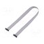 FFSD-10-D-15.00-01-N Ribbon cable with IDC connectors; IDC,both sides; 381mm; 15" nX5PBXrfH-4VeTbTljDAT6oziTrOjLTdMQ9B7p5TTL8