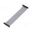 FFSD-17-D-04.00-01-N Ribbon cable with IDC connectors; IDC,both sides; 101.6mm; 4" LBPojQiqpuKHSPMKdr4C5uA-9H3FwD-fVl67Jyvh7OM