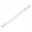 1282.5000 Fiber for LED; Ø3.2mm; L: 45mm; round; Front: convex; straight fIvhukY5WTh-Pf48mOsH-Tp5fAivy1b2g_AKlGM_kpo