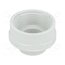 51731040 Enlarger of threads for glands; Int.thread: PG29; polyamide SxYC4DE0z0BRGECD0CIkIW8piW7KqzRIlgJqnxZkPJE