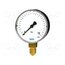 7395489 Manometer; 0÷25bar; Class: 1.6; 100mm; Temp: -20÷60°C; plastic s2usKpdWwjOcQoiehyWMJP0d3h0b06o64EIya2ge4OU