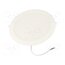 DELS-DLD402481S041 Lamp: LED downlight; 24W; 230VAC; 110°; 3000K,4000K,6500K; IP20 1L8H1uNwZr1TV2NstFlxHB-mlwUIyYJiGqA_8sO00UU