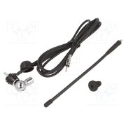 7667012 Antenna: automotive; 240mm; AM,FM; universal; rubber mast; 2.5m 8eMSx-qEIkB5rbZ3SNcz81M_VompcSRxlM1Cjo6orgs