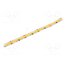 COBD-420-NW-24 Programmable LED tape; white neutral; 12mm; IP20; 160°; 11W/m XUSJfow9Uq22P68Db7q1-JIwC6MkQGXfjPyYpeRu1X0