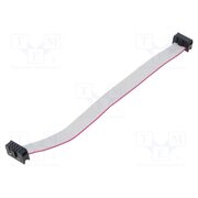 DS1052-102B2NA202001 Ribbon cable with IDC connectors; Tape ph: 1.27mm; 0.2m pHOeJAoG11poe2pW5Sf3jSfXbY2jxNF7fa7Sb2ET10g