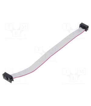 DS1052-102B2NA202001 Ribbon cable with IDC connectors; Tape ph: 1.27mm; 0.2m pHOeJAoG11poe2pW5Sf3jSfXbY2jxNF7fa7Sb2ET10g