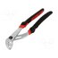 181A.25CPEPB Pliers: adjustable; for pipe gripping,adjustable; with button XmcEOggs1JL22sf0L79x04cey_pIAQ9uqh2pQavRG-g