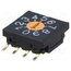 FR02FR10P-S Encoding switch; DEC/BCD; Pos: 10; SMT; Rcont max: 100mΩ; 10x10x4mm Zlmp_0aNuhfoVONOxP1JOyNtyiMEKZTGh6awH3BD_vg