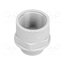 51731010 Enlarger of threads for glands; Int.thread: PG13,5; polyamide Ct6A_szNL33cHPtVxitJxnyGzdE7Sn6UHPezejnN09k