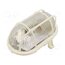 D.3155P Lamp: lighting fixture; OVAL100; polycarbonate; E27; IP44; oval V1tM5KzqJyklvt_2ic45QqDcJe-tYavbP66kh-TY0vM
