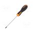 012021006 Screwdriver: standard; Phillips; PH0; EVOX; Blade length: 100mm YXoNgXoLHYW6hxLSBvQ2x6XuTqCfooy_UlDR0pVo0GY