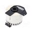 DK-44205 Label; 62mm; 30.48m; white; Character colour: black; self-adhesive kuRr5ObUsNGec5yJTNQjFEi2EmTK4H3OphE1O2sqMfw