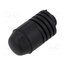 22071 Buffer; 2pcs; Alfa Romeo; OEM: 7655984; L: 44mm; rubber; black nywq4e4cbDhUJ-F_zcH9nPfr6JiY1gW3jdYibREjzP8